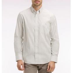 Chemise en coton pinpoint à rayures ciel coupe regular