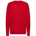 PULL EN COTON BIO ET SOIE COL RAS-DU-COU PULL EN COTON BIO ET SOIE COL RAS-DU-COU